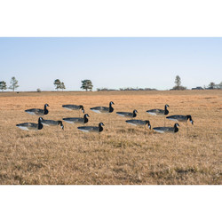 GHG Pro Grade Canada Goose Regular Windsock Decoys With Painted Heads 12 Pack